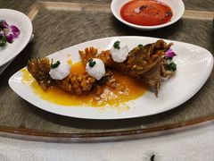 -新聚丰菜馆(太监弄店)