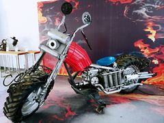 -上海长兴岛郊野公园