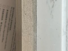 -北京北辰洲际酒店