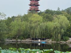 -云龙山