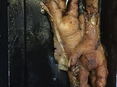 招牌卤鸡脚-鸡脚旮旯(苏州中心店)