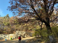 -北山公园
