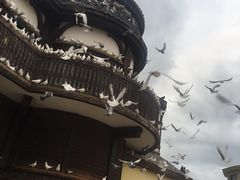 -沈阳方特欢乐世界