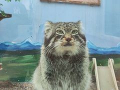 -青藏高原野生动物园