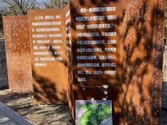 -白水寺森林公园