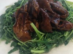 草头圈子-席家花园(巨鹿花园店)