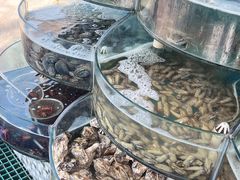 -仙螺岛海鲜自助餐厅(总店)