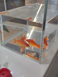 -春田皮肤管理中心品牌旗舰店