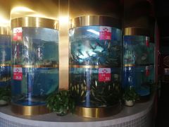 -蜀滋香鲜鱼美蛙火锅(339店)