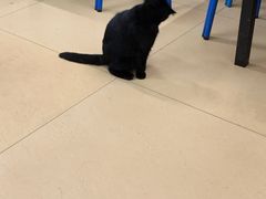 -老字号贾家肉丸糊辣汤(光明巷店)
