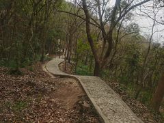 -上海佘山国家森林公园天马山园