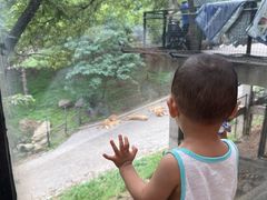 -大连森林动物园