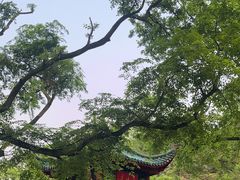 -岳麓山风景名胜区