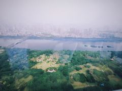 -南湖名都·景湖轩全日制餐厅·海鲜自助·东南亚风味·临湖而食