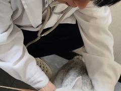 -安安宠医·臻爱宠物医院·宠保定点(营门口路分院)