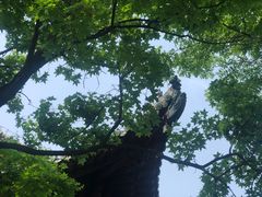 -洛阳周公庙博物馆