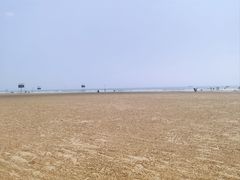 -日照海滨国家森林公园