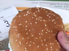 -麦当劳(深圳北站高铁店)