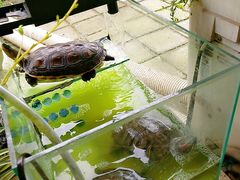 -吴山花鸟城-停车场