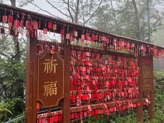 -天台山琼台仙谷景区
