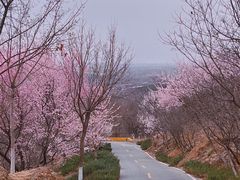 -北宫国家森林公园
