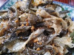 -粥君好殿·道滘肉丸粥(文华路店)