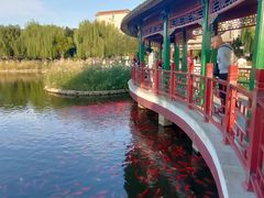 -西海子公园