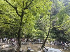 -石台牯牛降景区