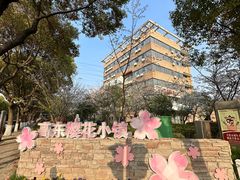 -高东镇樱花园