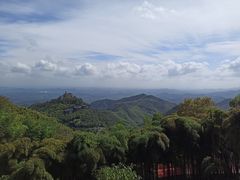 -莫干山风景区
