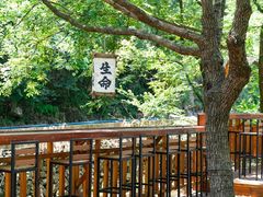 -青云峡漂流