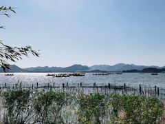 -湖畔居茶楼(湖滨店)