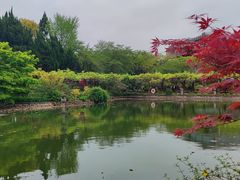 -嘉定紫藤园