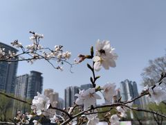 -西北湖绿化广场