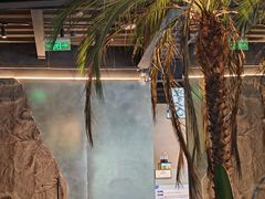 -J Create城市露营咖啡·简餐·宠物(上海动物园店)