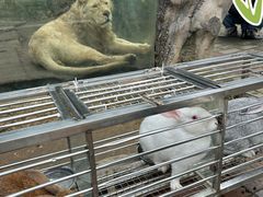 -贵州森林野生动物园