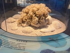 -天津自然博物馆