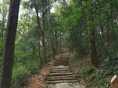 -西湖风景区十里琅珰-五云山