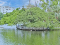 -东山湖公园