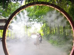 -苏州太湖国家湿地公园