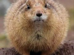 -星巴克(北京惠新东街店)