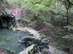 -宁波市保国寺古建筑博物馆