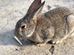 -前小桔亲子创意农场·草莓采摘·露营烧烤