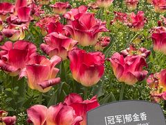 -国家植物园