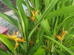 -惠州西湖风景名胜区-丰渚园