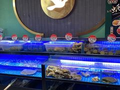 -鸽子侯·家宴·平价海鲜(市图书馆店)