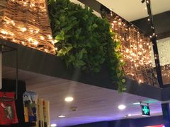 -百好乐宠物友好餐厅(朝外大街店)