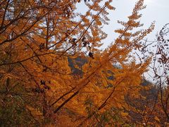 -天津盘山风景名胜区