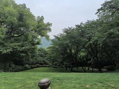 -龙井村