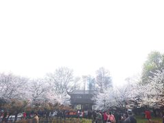 -堤角公园